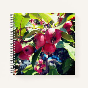 Crab Apples on a Tree Notebook