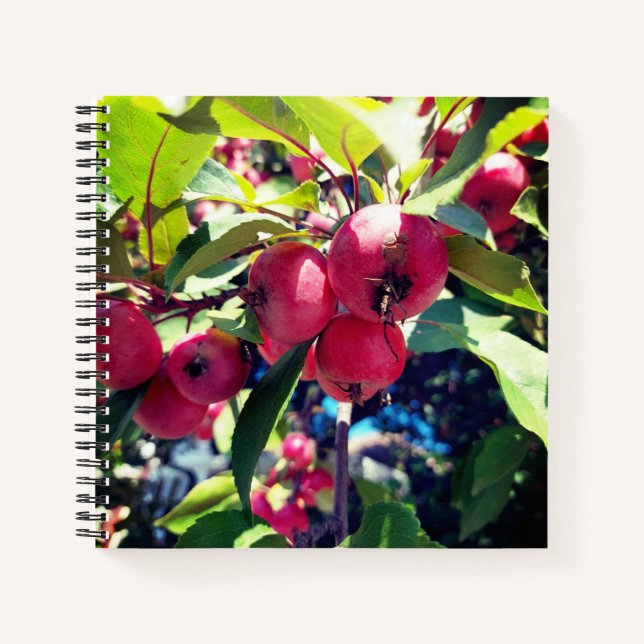 Crab Apples on a Tree Notebook (Front)