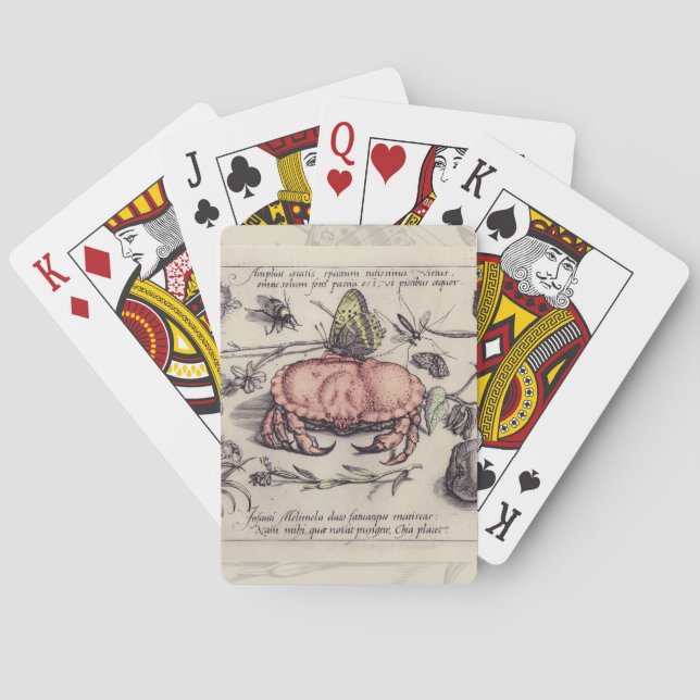 Crab Botanical Insect Flower Illustration Playing Cards (Back)