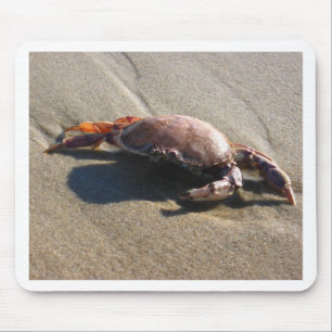 Crab, Coast Guard Beach Mouse Pad