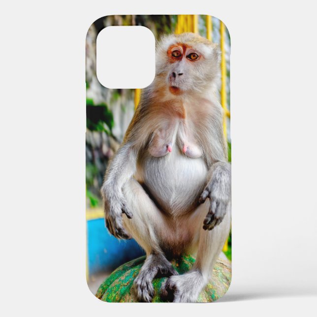 Crab-eating macaque Case-Mate iPhone case (Back)