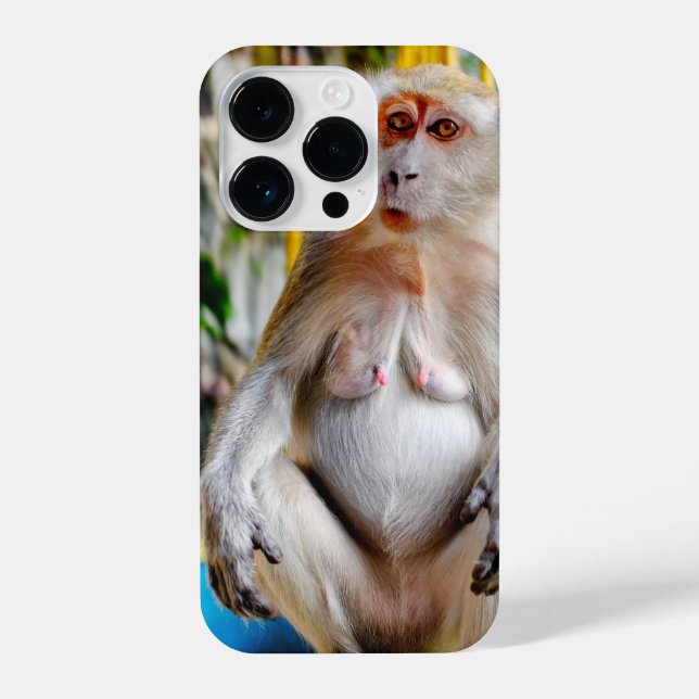 Crab-eating macaque iPhone case (Back)