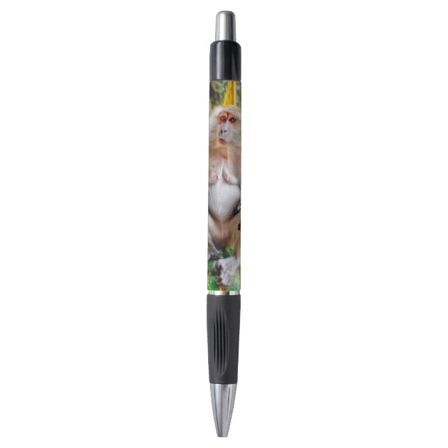 Crab-eating macaque pen (Front Vertical)