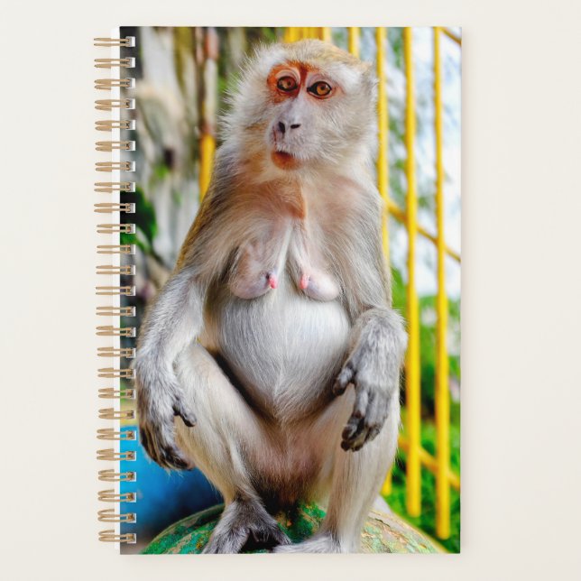 Crab-eating macaque planner (Front)