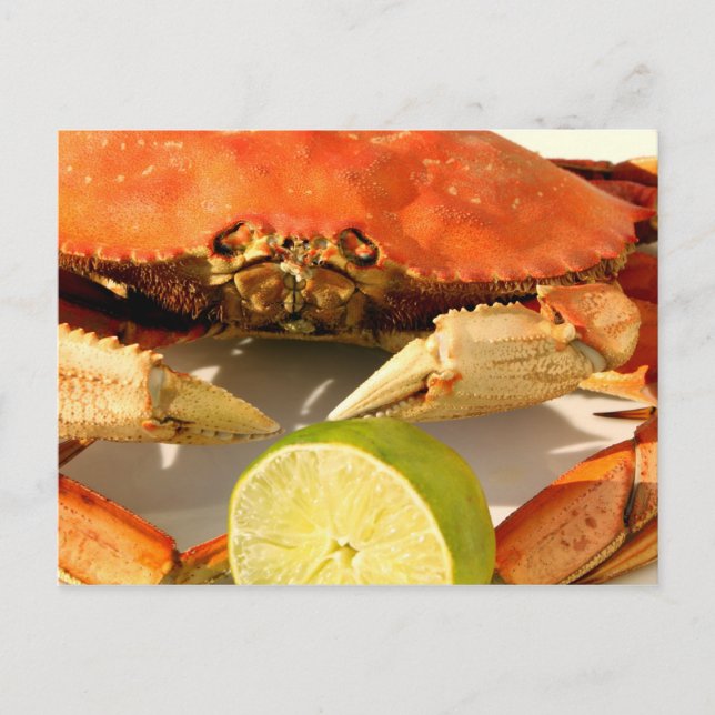 Crab Feast Invitation Postcard (Front)