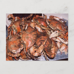 Crab Feast Postcard