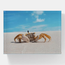 Crab image