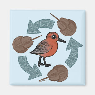 Crab-Knot Cycle Magnet