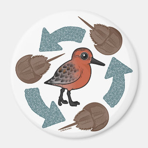 Crab-Knot Cycle Magnet