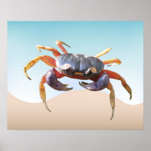 Crab on the Beach Poster