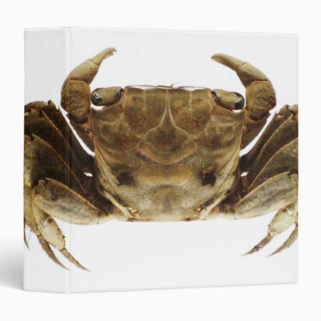 Crab on white background binder (Front/Spine)