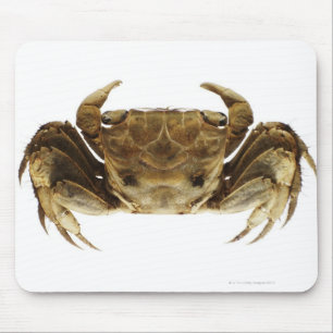 Crab on white background mouse pad
