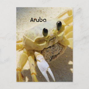 Crab Postcard
