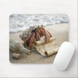 Crab Reading a Letter on a Beach Mouse Pad<br><div class="desc">On a sandy beach,  a bespectacled hermit crab studies a scroll while an old bottle and its cork rest nearby,  hinting at a message that has washed ashore</div>