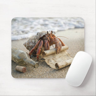 Crab Reading a Letter on a Beach Mouse Pad