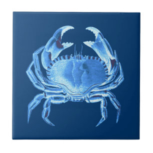 Crab Sea Life Print, Indigo Blue and White Tile