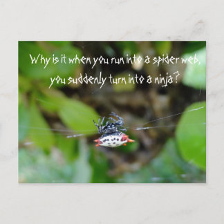 Crab Spider Postcard / Funny Ninja Quote