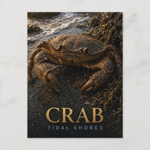 Crab Tidal Shores Wildlife ANIMAL Postcard