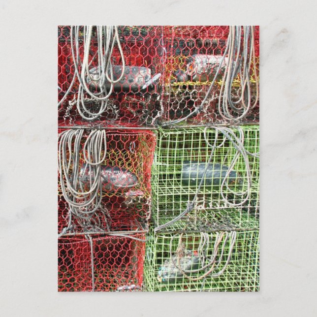 Crab Traps Close Up Postcard (Front)