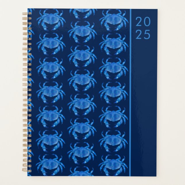 Crab watercolour 2024 planner (Front)