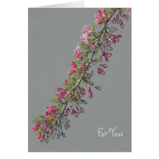 Crabapple Blossoms from Central Park