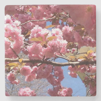 Crabapple Blossoms in Spring - Pink & White Branch Stone Coaster