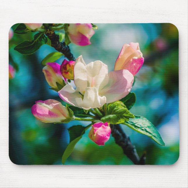Crabapple flower and buds mouse pad (Front)