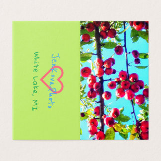 CRABAPPLE SKY MINI CARDS 2x3.5 horizontal