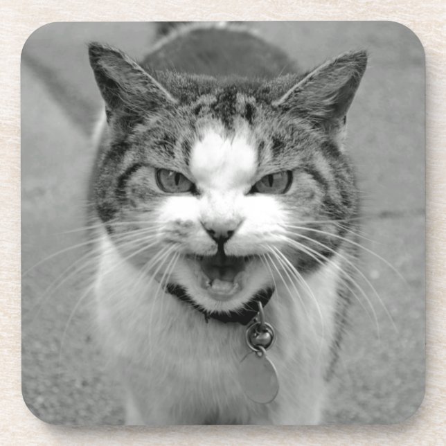 Crabby Cat Coasters (Front)