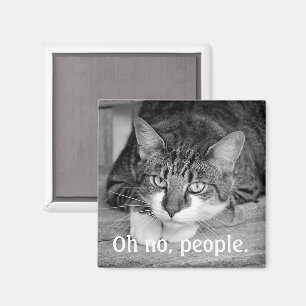 Crabby Cat, "Oh no, people." Magnet