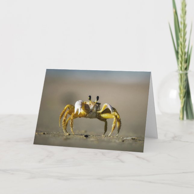 Crabby Day Card (Front)