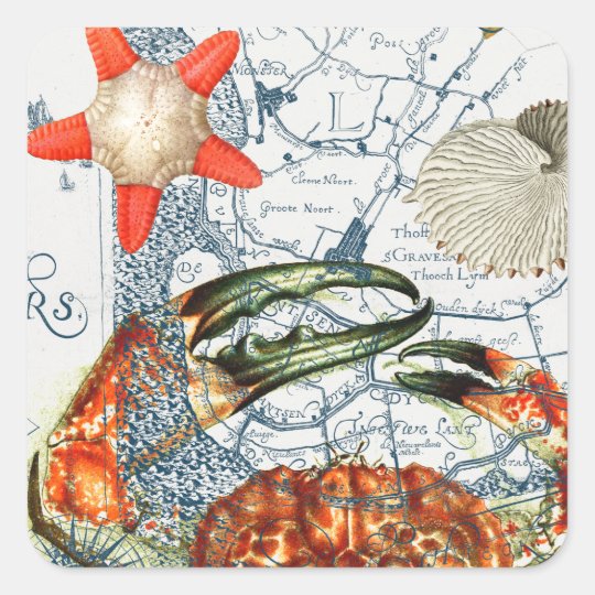 crabby map starfish square sticker