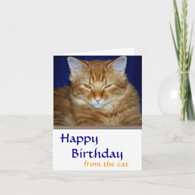 Crabby Tabby Carte d'Anniversaire - Drôle (Devant)