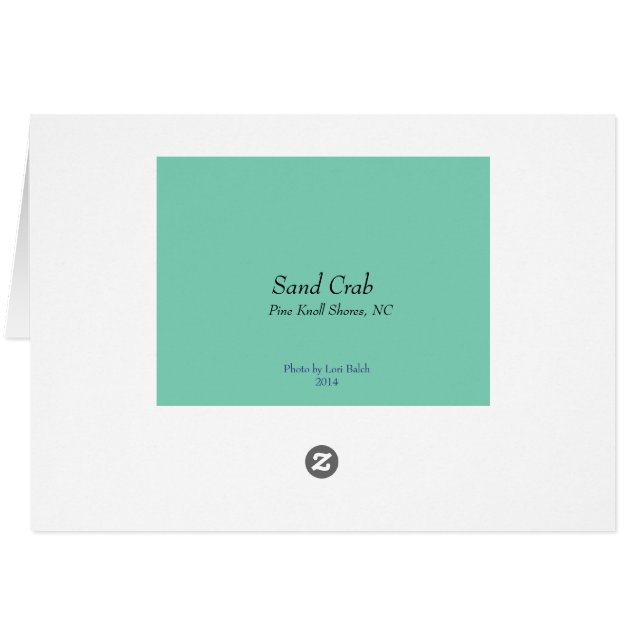 Crabe de sable (Dos Horizontal)