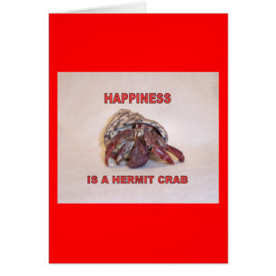 Crabe ermite #14