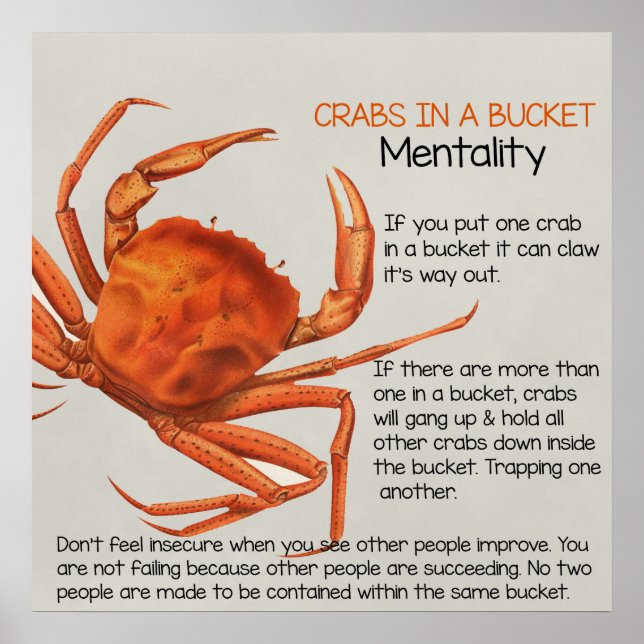 Crabs in a Bucket Square Poster Print (Front)