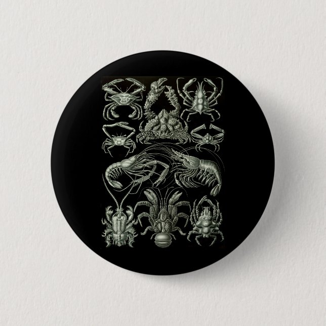 Crabs & Lobsters 2 Inch Round Button (Front)