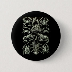 Crabs & Lobsters 2 Inch Round Button