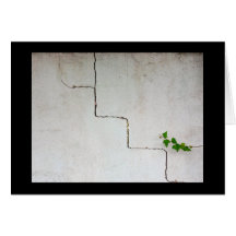 Cracked