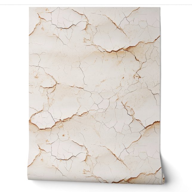 Cracked Cream Painted Textured Wall  (Unrolling)