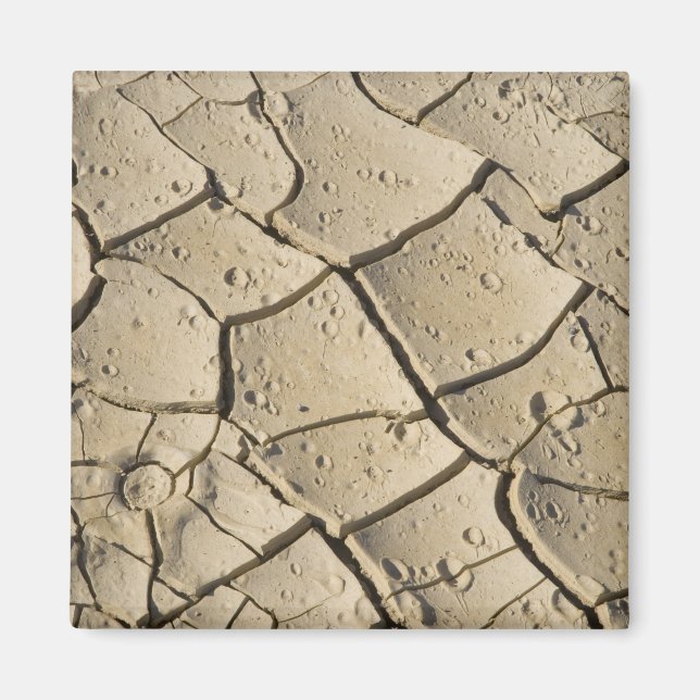 Cracked Mud formation in the Valley floor of 2 Magnet (Front)