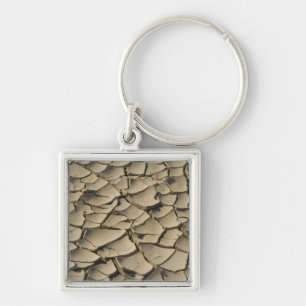 Cracked Mud formation in the Valley floor of Keychain