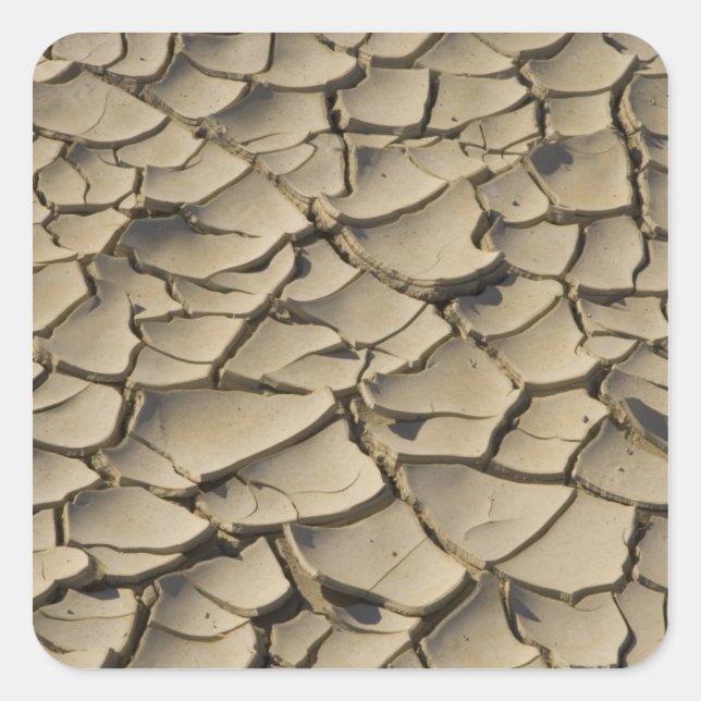 Cracked Mud formation in the Valley floor of Square Sticker (Front)