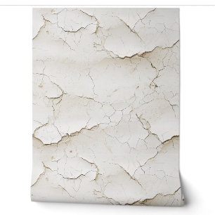 Cracked Painted Textured Wall 