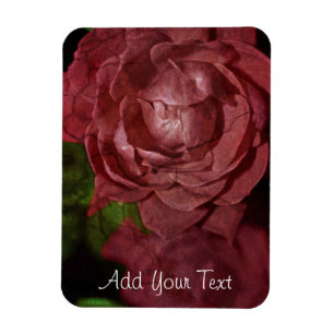 Cracked Red Rose by Shirley Taylor Magnet