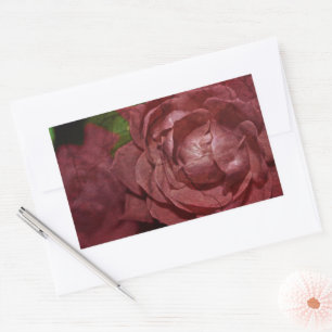 Cracked Red Rose by Shirley Taylor Sticker