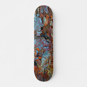 Cracked wood skateboard. skateboard