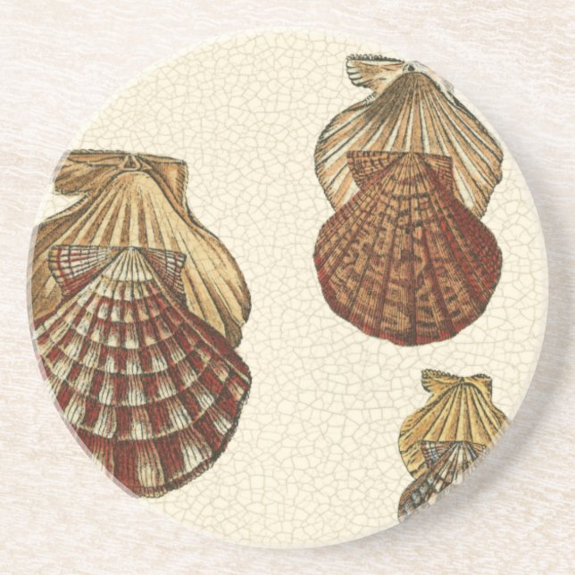 Crackled Antique Shells Coaster (Front)