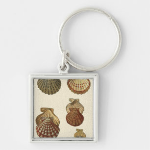 Crackled Antique Shells Keychain