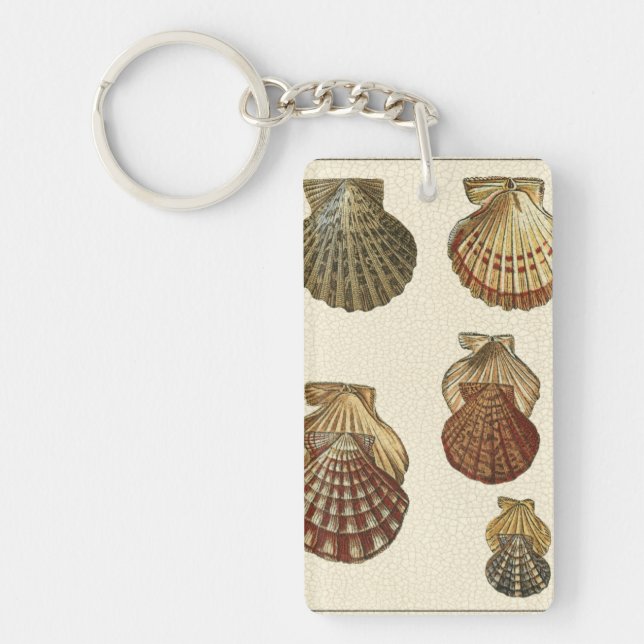 Crackled Antique Shells Keychain (Front)